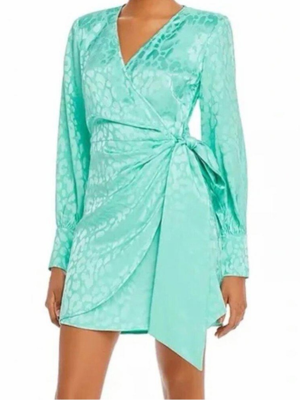 The Andamane Carly Leopard-Print Wrap Mini Dress in Teal Green‎ Size Small NWT